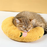 CatCozy Pillow