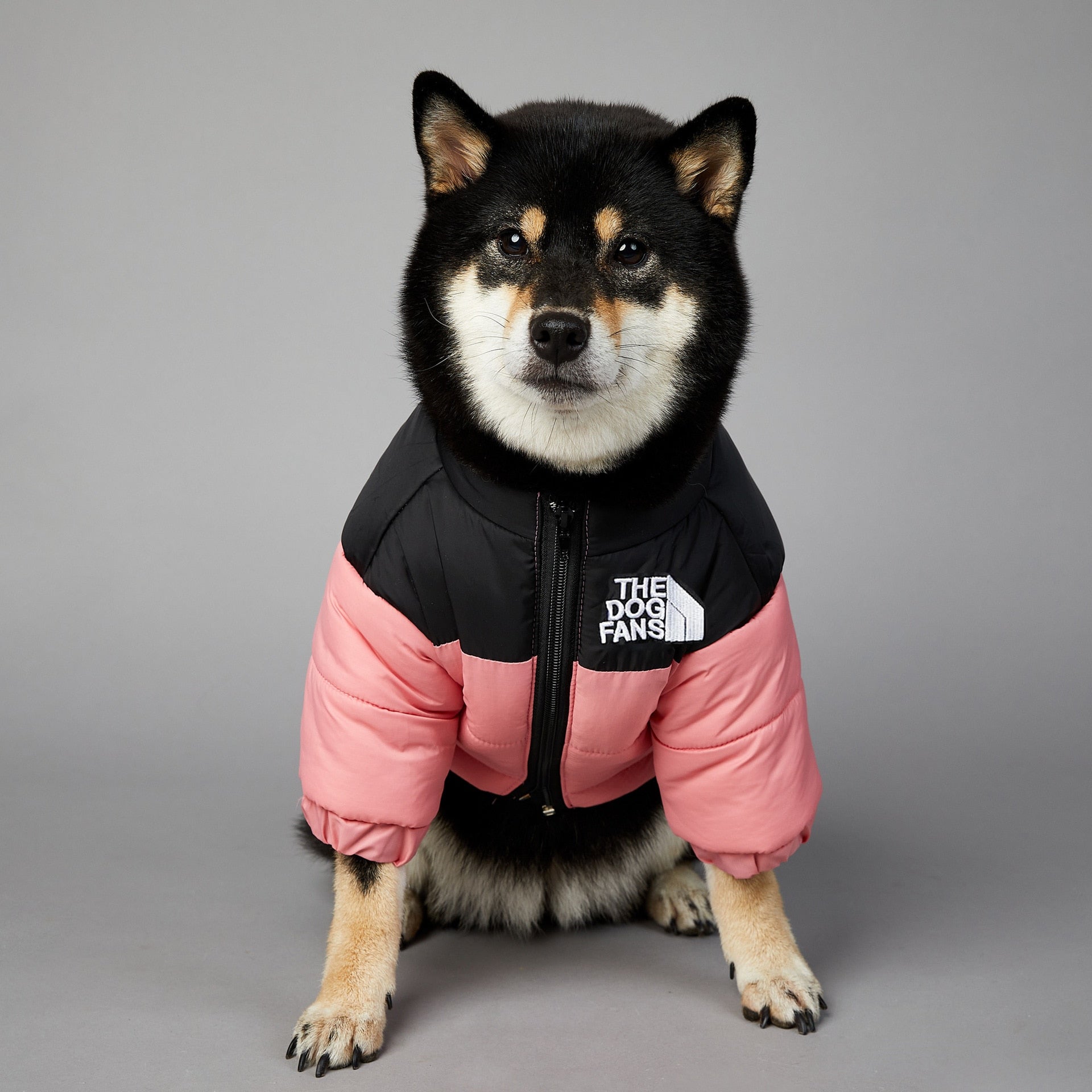 Dog Face Puffer Coat