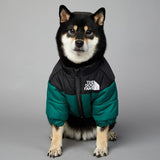 Dog Face Puffer Coat