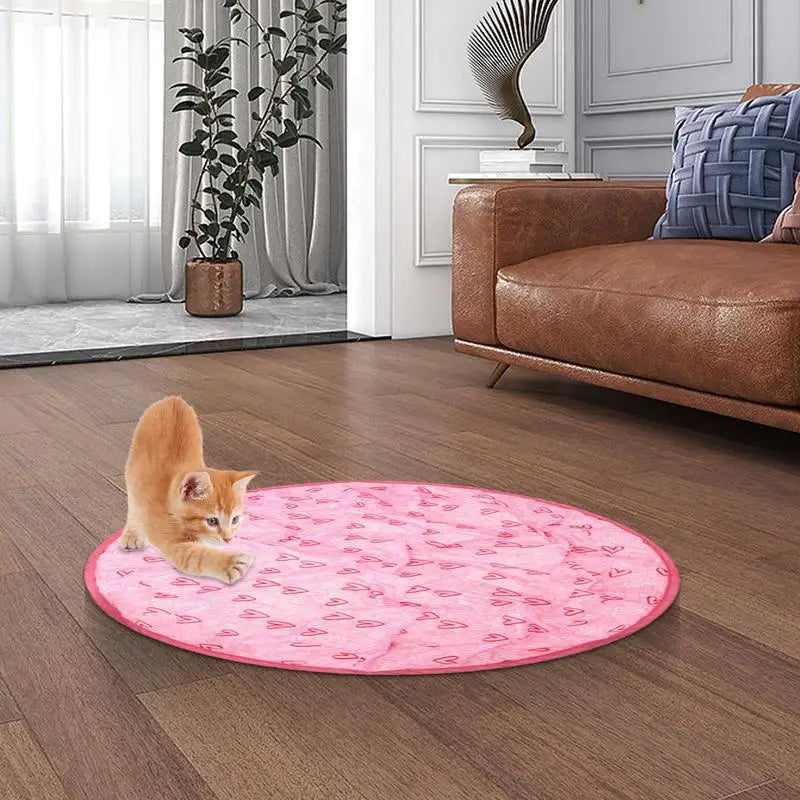 1 Simulated Interactive Hunting Cat Toy