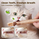 CAT SILVERVINE CHEWING STICK