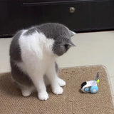 Automatic Cat Toy