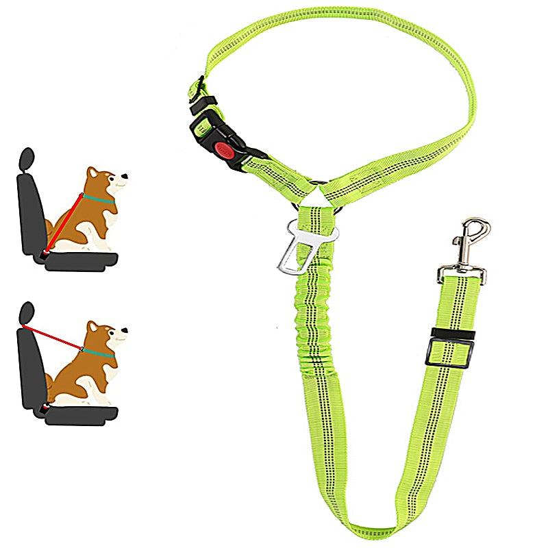 Car Dog Leash