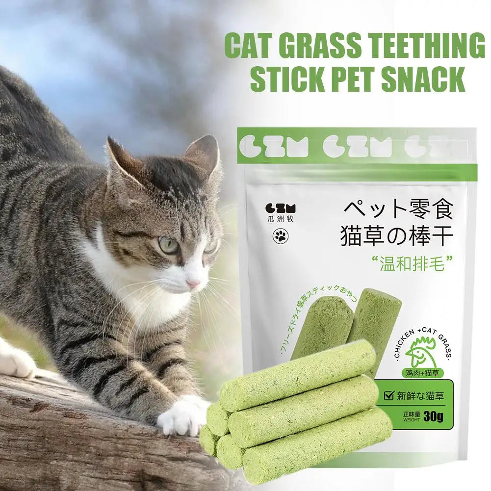 Cat Grass Teething Sticks