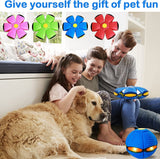 Pet Toy Flying Saucer Ball