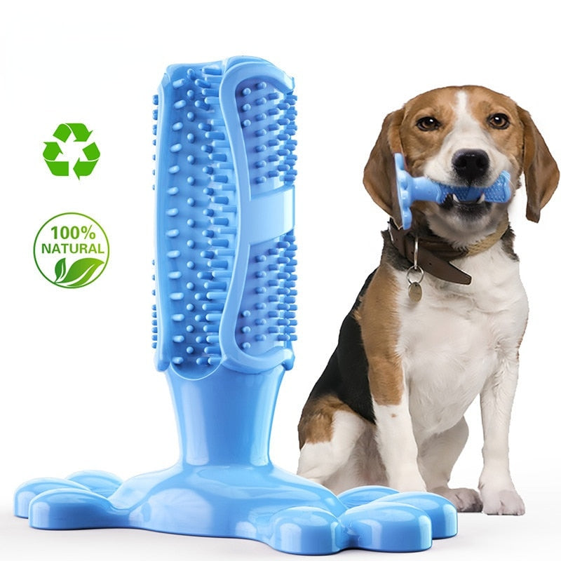 EZ Care Dog Toothbrush