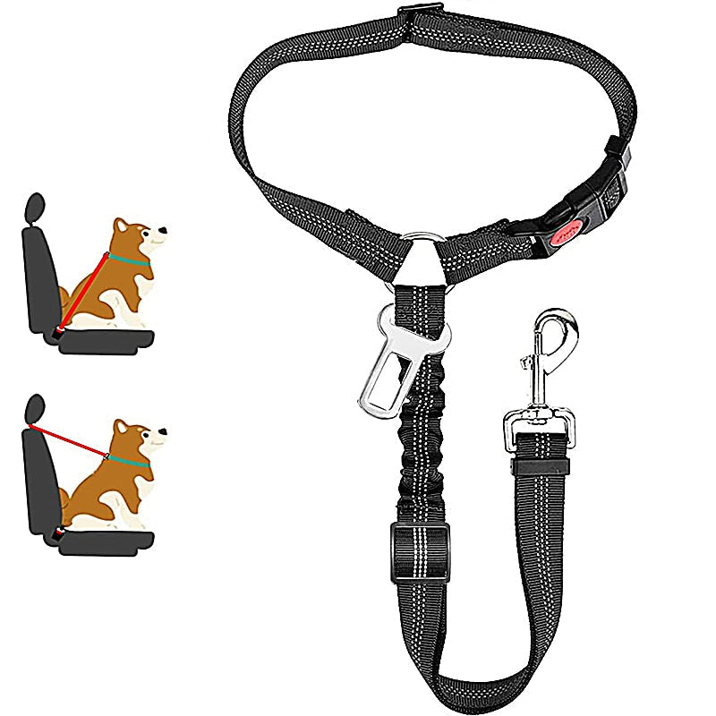 Car Dog Leash