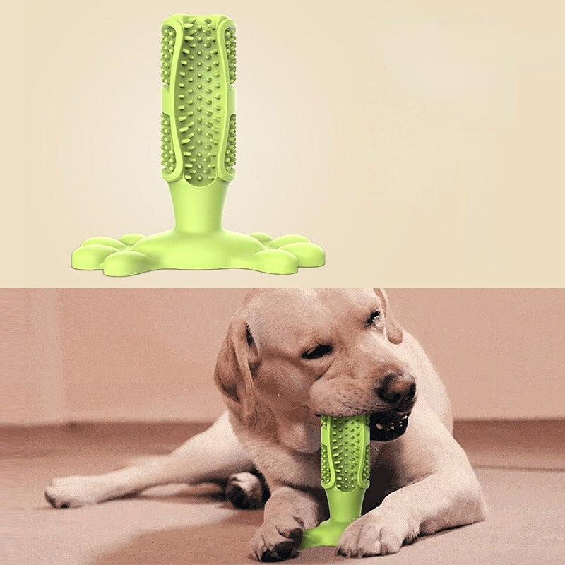 EZ Care Dog Toothbrush