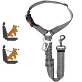 Car Dog Leash