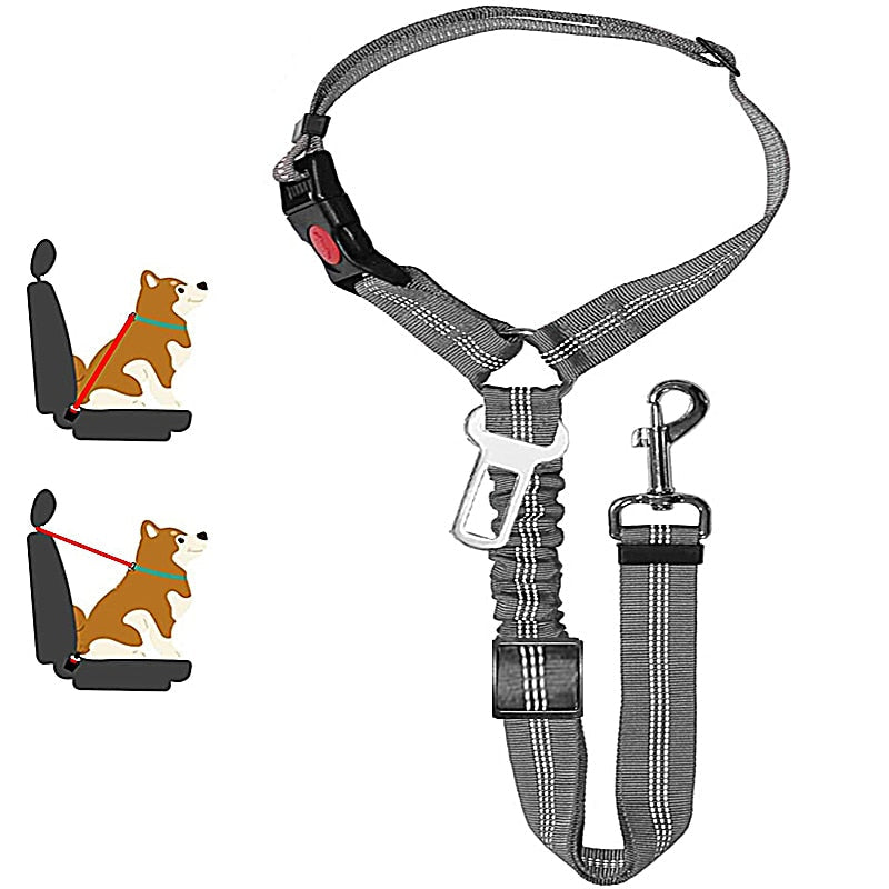 Car Dog Leash