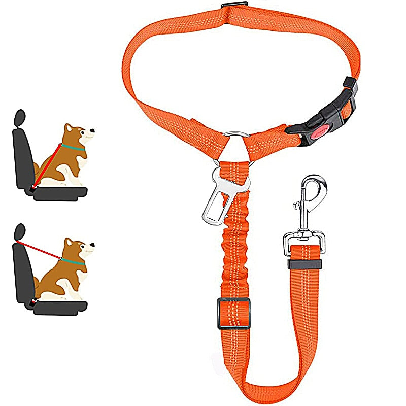 Car Dog Leash