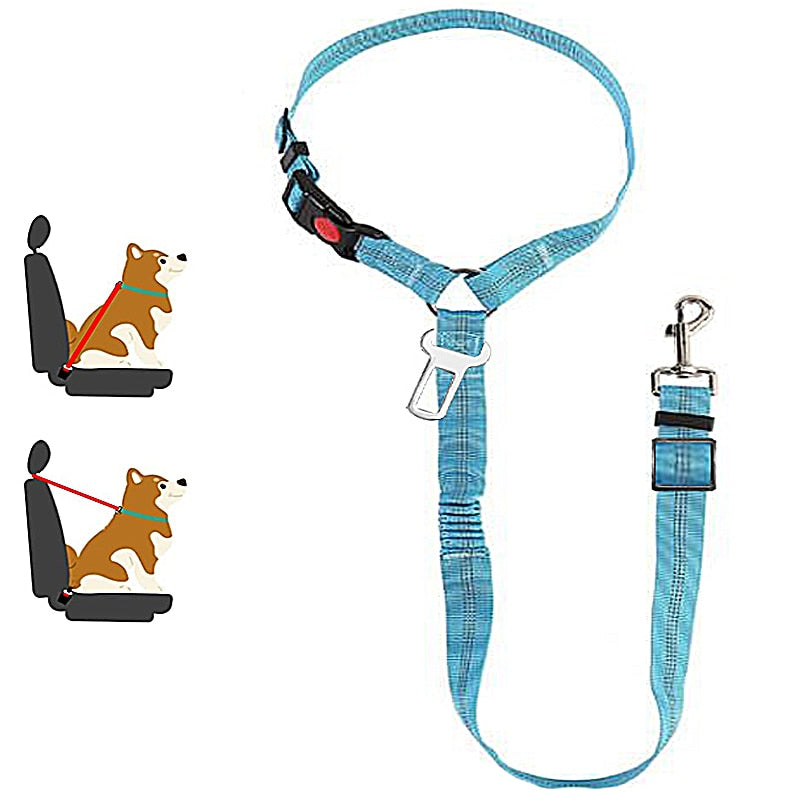 Car Dog Leash