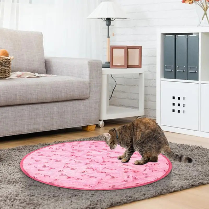 1 Simulated Interactive Hunting Cat Toy