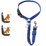 Car Dog Leash